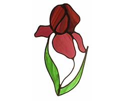 small_Iris